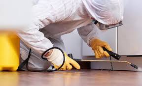 Best Residential Pest Control  in Springfield, FL